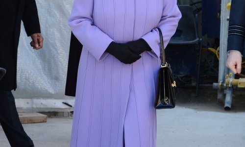 Kraljica Elizabeta ozdravila i vratila se na posao