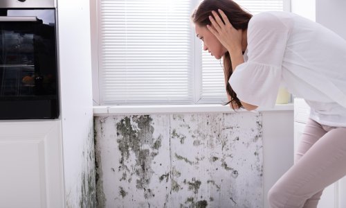 Nevidljivi neprijatelj u vašem domu: Znate li što vam polako narušava zdravlje?