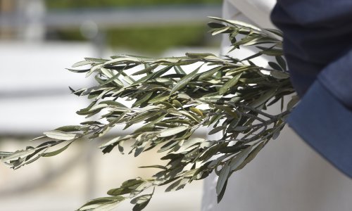 Bliži se Uskrs: Cvjetnica obilježava početak Velikog tjedna