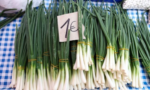 Hoće li za Uskrs biti dovoljno mladog luka? 'Cijenom ne možemo konkurirati uvozu'