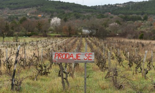 U Hrvatskoj je 100 tisuća hektara zapuštenog zemljišta: HUP predlaže četiri modela