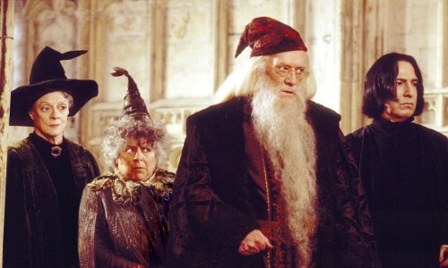 Stiže serija o Harryju Potteru, a evo koji će glumci utjeloviti omiljene likove