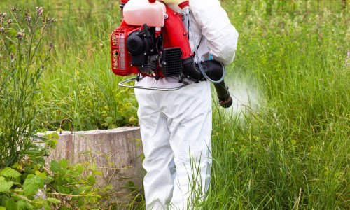 Pčelar upozorio komunalce da ne špricaju herbicidom vodozaštitno područje, oni ga fizički napali