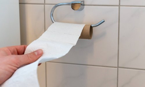 Postoji li alternativa; prosječni Europljanin na godinu potroši 20 kilograma toaletnog papira