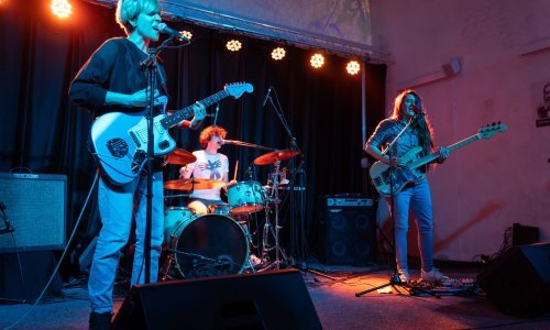 Slavonski portali koji su koncert lezbo-bi benda Žen nazvali 'bolesnim' dobili opomenu