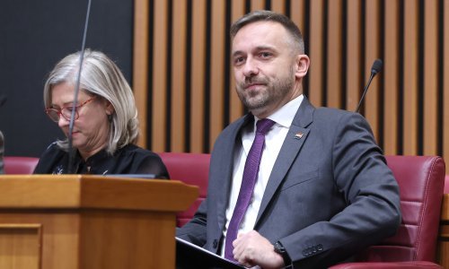 Piletić: 'Zabrinjava da duge zatvorske kazne nisu odvraćajuće za počinitelje femicida'