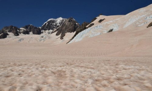 Zašto je snijeg na Novom Zelandu odjednom postao crven? Znanost ima odgovor
