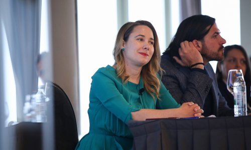 Selak Raspudić: Jasno je zašto se Herman bavi sa mnom, a ne Tomaševićem