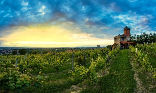 Doživljaj više u čaši i na tanjuru: eno-gastro raj Bjelovarsko – bilogorskog kraja
