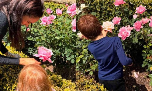 Internet 'gori' nakon što je Meghan objavila fotografije djece koja su 'povukla' na oca