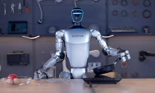 Nova radna snaga: Tko će izaći kao pobjednik u utrci za humanoidne robote?