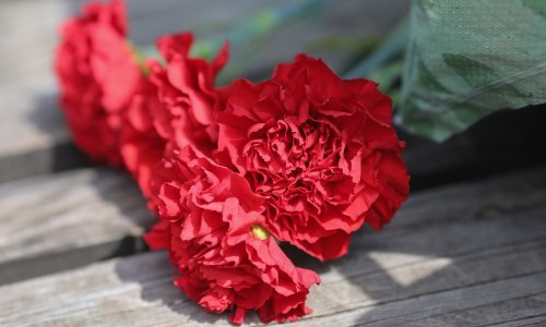 Znate li zašto baš danas slavimo Praznik rada?