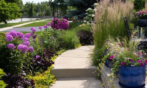 Za raskošan vrt bez mnogo truda: Ovo je cvijeće koje ne prestaje cvjetati, sve do zime