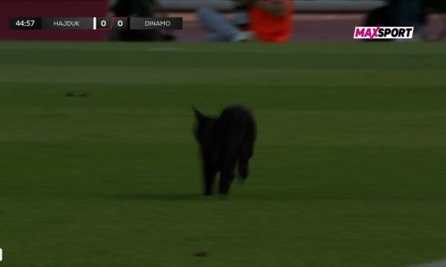 Pogledajte trenutak s derbija koji je postao viralan: 'Ona je kriva što je Hajduk izgubio'