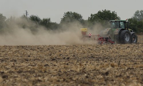 Suša poljoprivrednicima Virovitičko-podravske županije nanijela rekordnu štetu