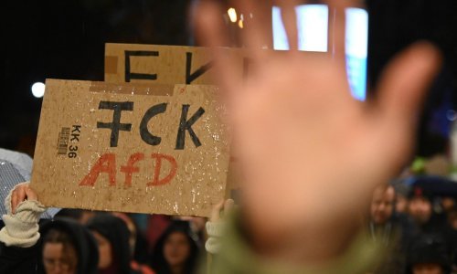 AfD tuži službu zbog proglašenja ekstremnom desničarskom organizacijom