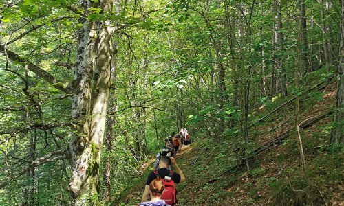 Festival Brdo knjiga 2025. stiže pod Belecgrad: priroda, knjige i posebni gosti u srcu Ivanščice