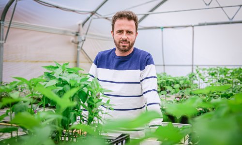 Najpoznatiji povrćar Zagorja: 'Stalno se žalimo - skupo ovo, skupo ono. Okej, brate, uzmi motiku i kopaj!'