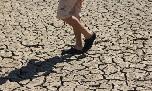 Vijesti o klimatskim promjenama: Povećavaju anksioznost, potiču na djelovanje