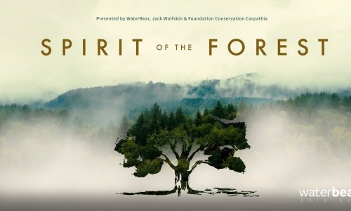 Prvi Greencajt Film Festival - pogledajte 80 filmova koji će vas ostaviti bez daha!