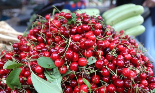 Domaće trešnje većina Hrvata može samo gledati, a uvozne su još skuplje