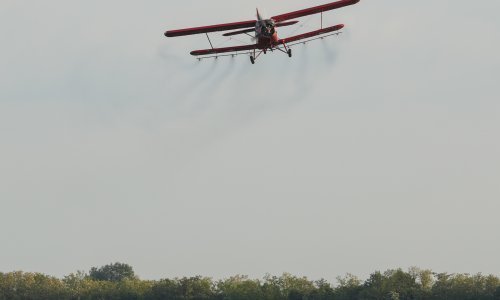 Već su se pojavili komarci: U Osijeku otkrili što planiraju