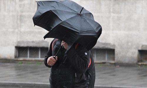 Snažno nevrijeme pogodilo i Zagreb! Olujni vjetar čupao je grane, na teren izašli vatrogasci