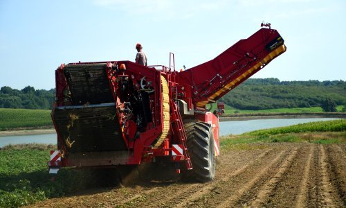 Hrvatska dobiva prvu tvornicu pomfrita, vrijednu sedam milijuna eura, investitor nam je otkrio detalje