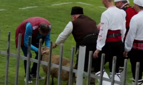 Bugarski klub izborio ulazak u prvu ligu; trener na poklon dobio živo janje