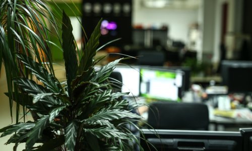 Potiče li glazba biljke i gljivice na brži rast? Znanstvenici imaju odgovor