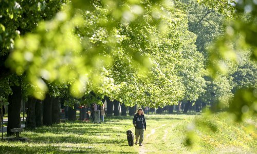 Ozbiljno prijete šetačima u prirodi: Izgledaju bezopasno, ali nije baš tako...