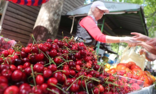 Trešnje postale luksuz: Zašto kilogram i dalje stoji i do 16 eura?