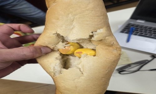 Nije prevario policiju: Pogledajte gdje je diler skrivao heroin