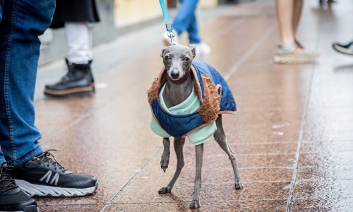 Stižu novi pljuskovi s grmljavinom: Objavljena prognoza do petka
