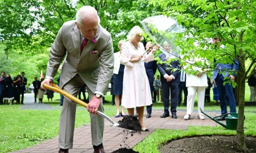 Kad se kralj primi lopate: Charles radi dok Camilla 'nadzire' - 'Tako se to radi, dragi!'