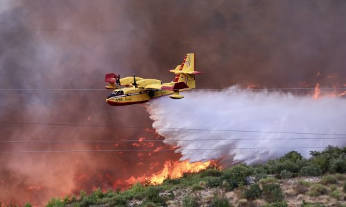 Vatra na Braču progutala 20 hektara borove šume
