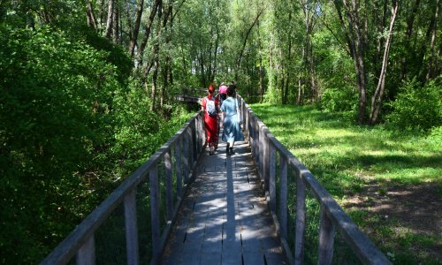 Savršena destinacija za izlet iz Zagreba: Ovaj prirodni raj vrijedi posjetiti čim prije