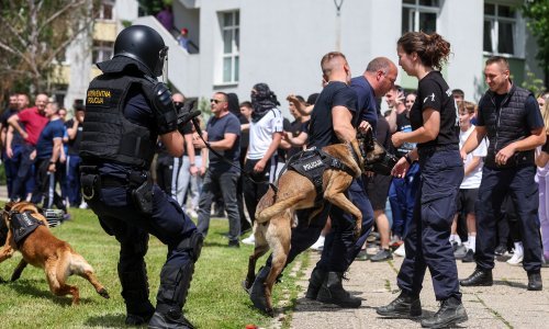 Robot-pas, Cro cop, sukob policije i navijača: Pogledajte što su sve pokazali hrvatski policajci