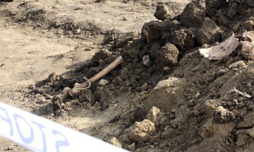 Novo suđenje za zločine na Ovčari odgođeno zbog promjene tužitelja