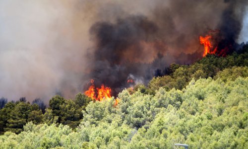 Lokaliziran požar kod Šibenika, kuće nisu ugrožene