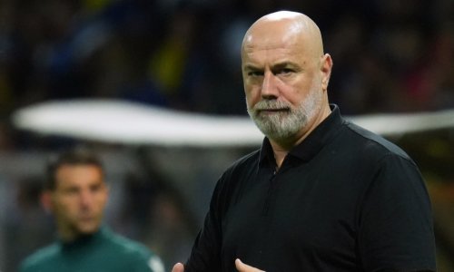 Sergej Barbarez izbornik BiH