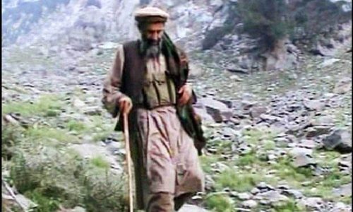 Osama bin Laden ostavio bogatstvo džihadistima