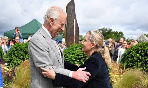 Ukrala show: Raznježila kralja Charlesa i imala malu nezgodu s cipelom