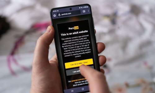 Korištenje VPN-a 'eksplodiralo' nakon zabrane PornHuba u Francuskoj