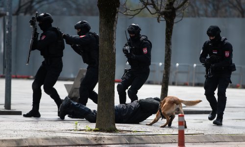 Dodikova policija prebila oporbenog političara: 'Mlatili su nas u vrtu'