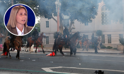 Luša: 'Vojska se ne bi trebala miješati u osiguranje građanskih sloboda'