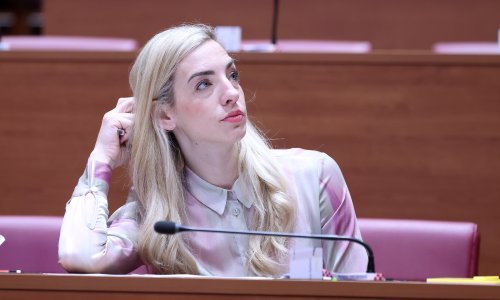 Radolović: Imamo 'umjetnu zaposlenost', ljudi rade preko agencija, honorarno