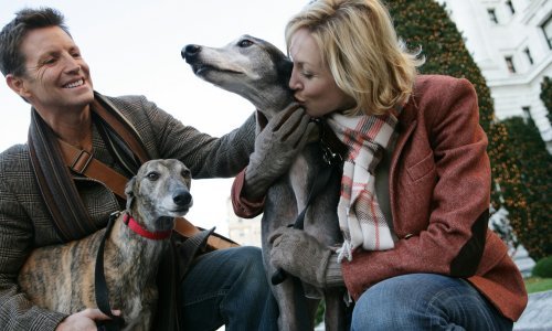 Putujete sa psom u Hrvatskoj? Ovo morate znati