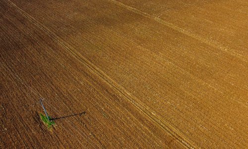 Objavljen natječaj za dodjelu potpora poljoprivrednicima vrijedan 1,6 milijuna eura