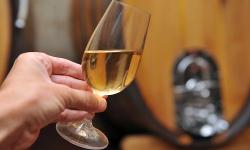 Dramatične scene u Istri; pokušali provesti ovrhu nad vinarijom